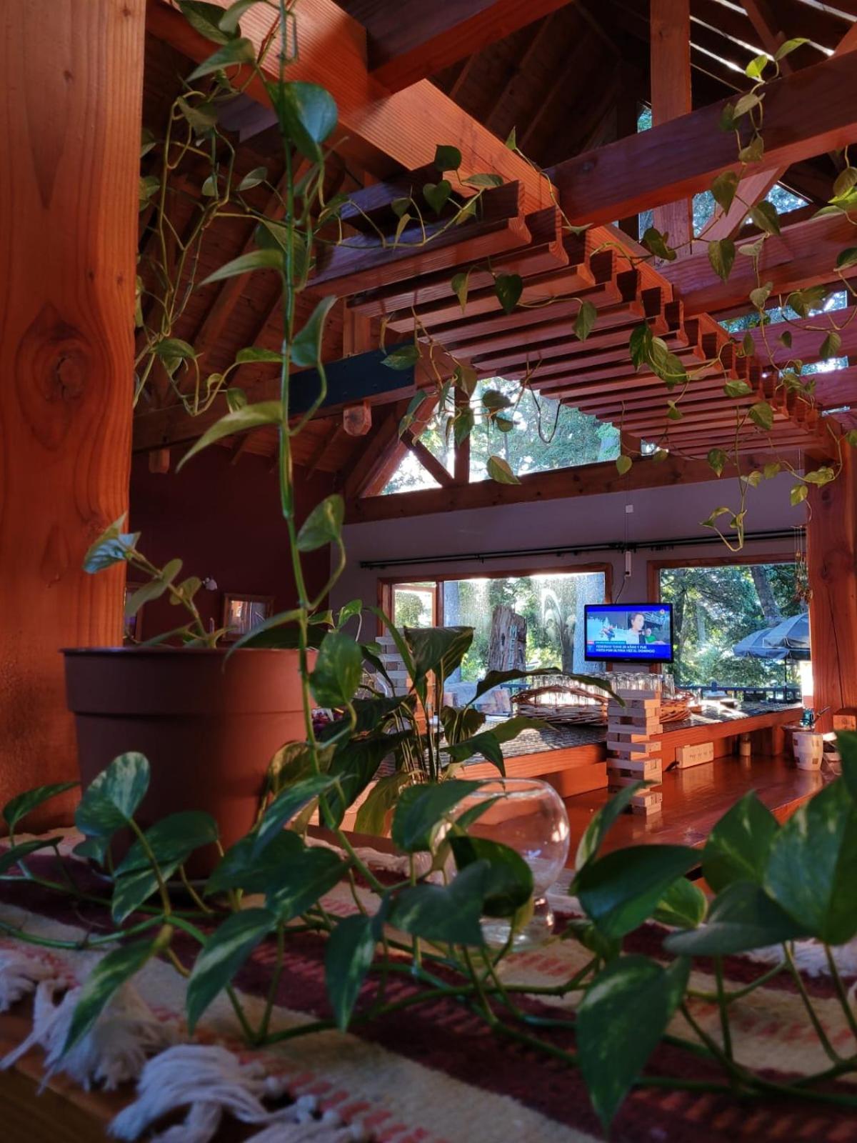 Melewe Apart otel Villa La Angostura Dış mekan fotoğraf