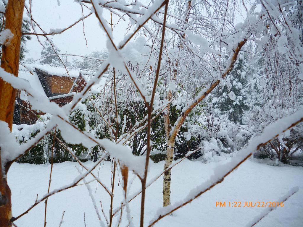 Melewe Apart otel Villa La Angostura Dış mekan fotoğraf